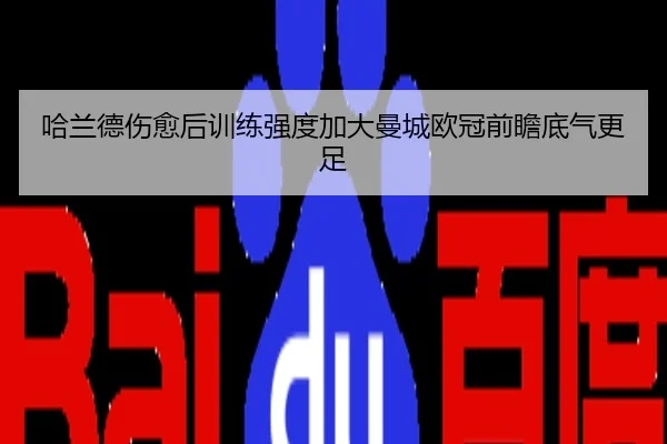 哈兰德伤愈后训练强度加大曼城欧冠前瞻底气更足